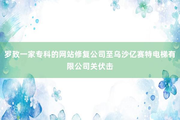 罗致一家专科的网站修复公司至乌沙亿赛特电梯有限公司关伏击